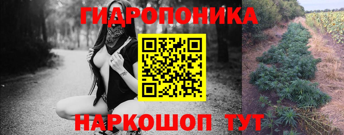 Конопля VHQ  Вход с VPN  Канабис марихуана  Альметьевск  Бошки Шишки ГИДРОПОН 